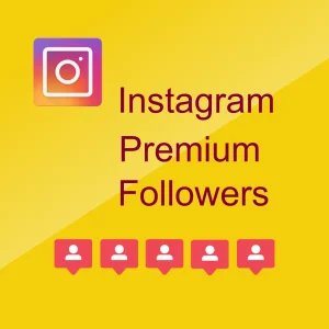 Buy Instagram Premium Followers